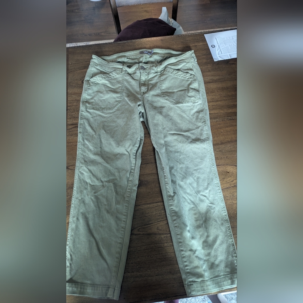 Torrid Women's Sage Green Straight Leg Pants
